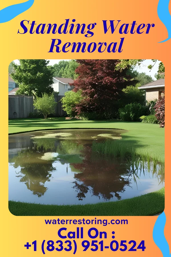 Standing Water Removal in Jonesburg, MO
